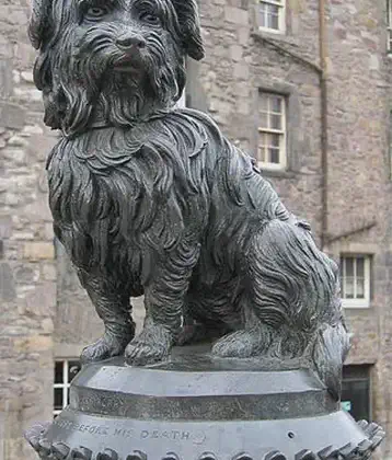 /images/tich/greyfriars_bobby.webp